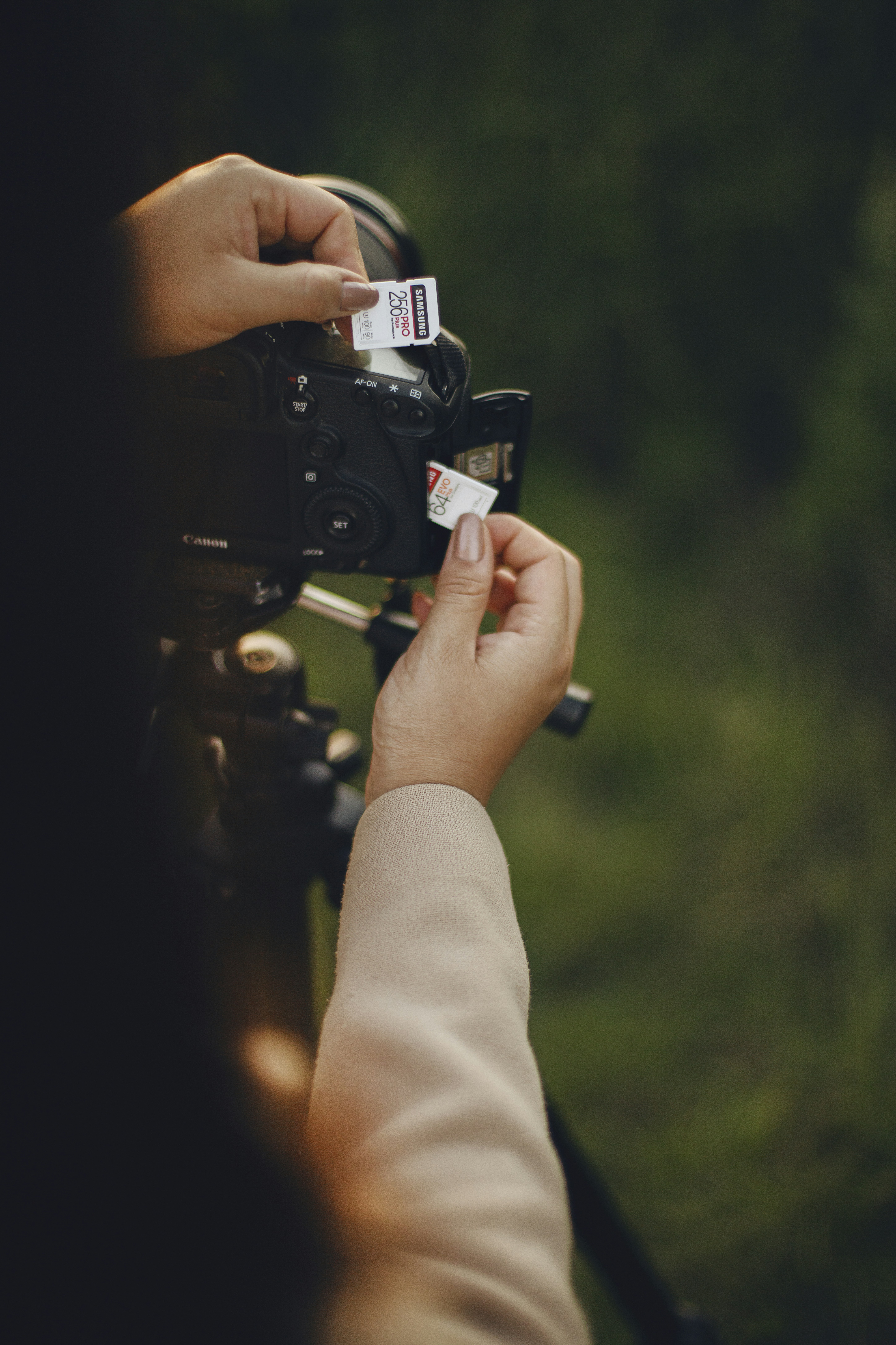 Photo by samsungmemory