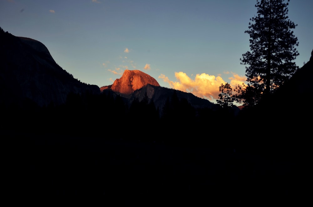 silhouette of trees and mountain during sunset