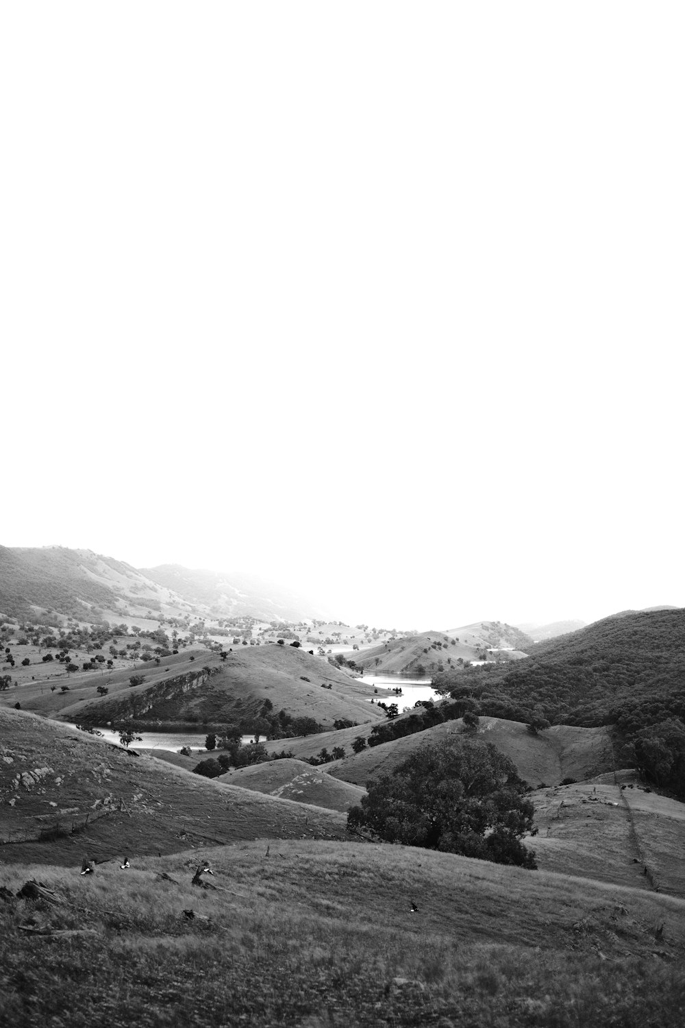 grayscale photo of mountains and trees