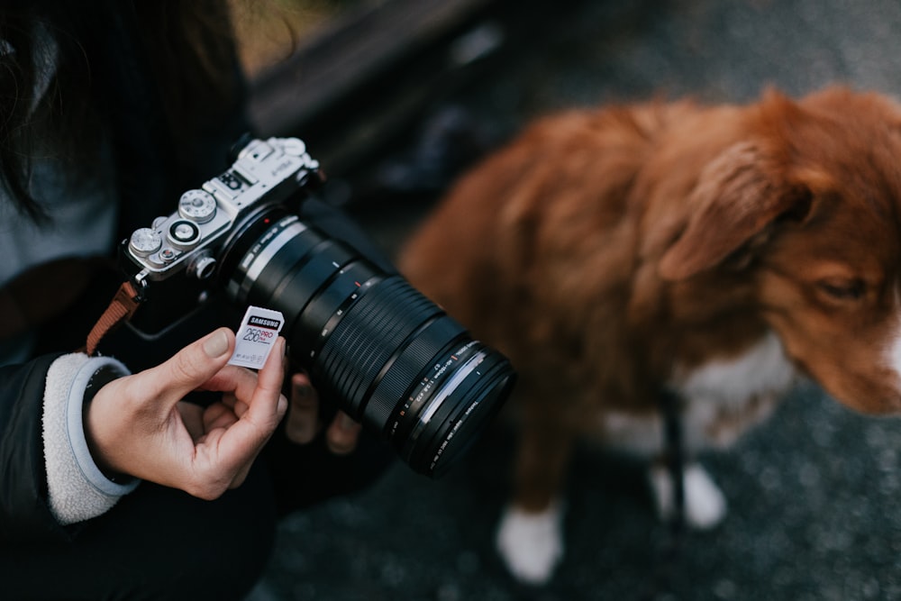 person holding black nikon dslr camera