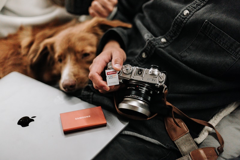 Clients downloading photos