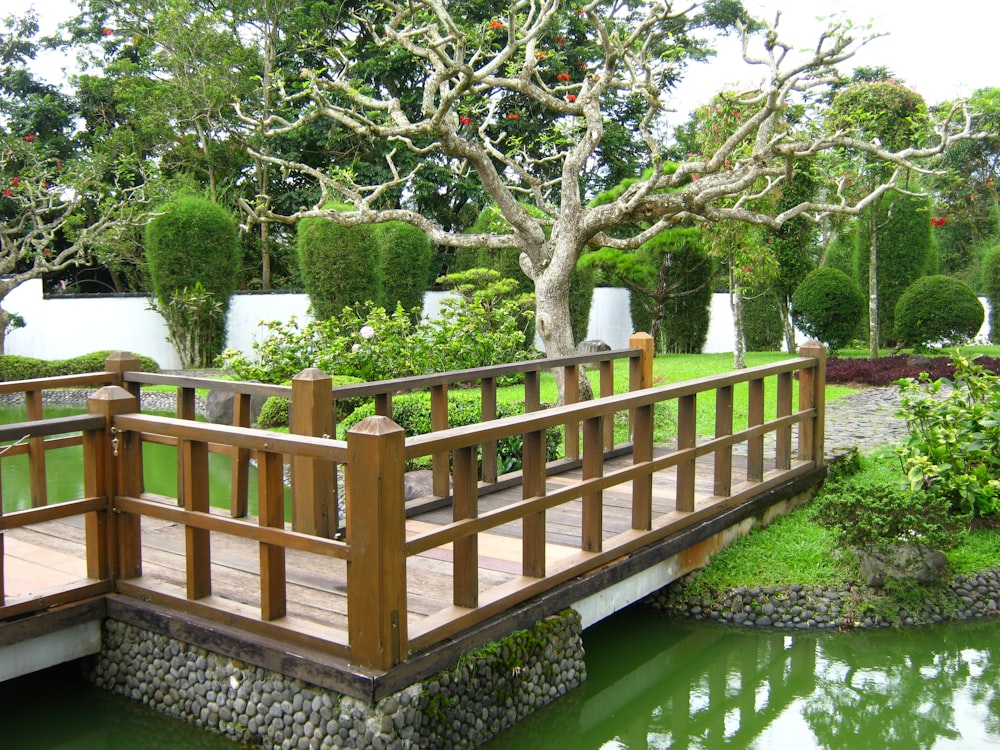 brown wooden fence near green trees and river during daytime