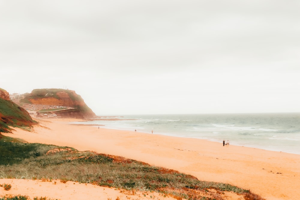 people on beach during daytime