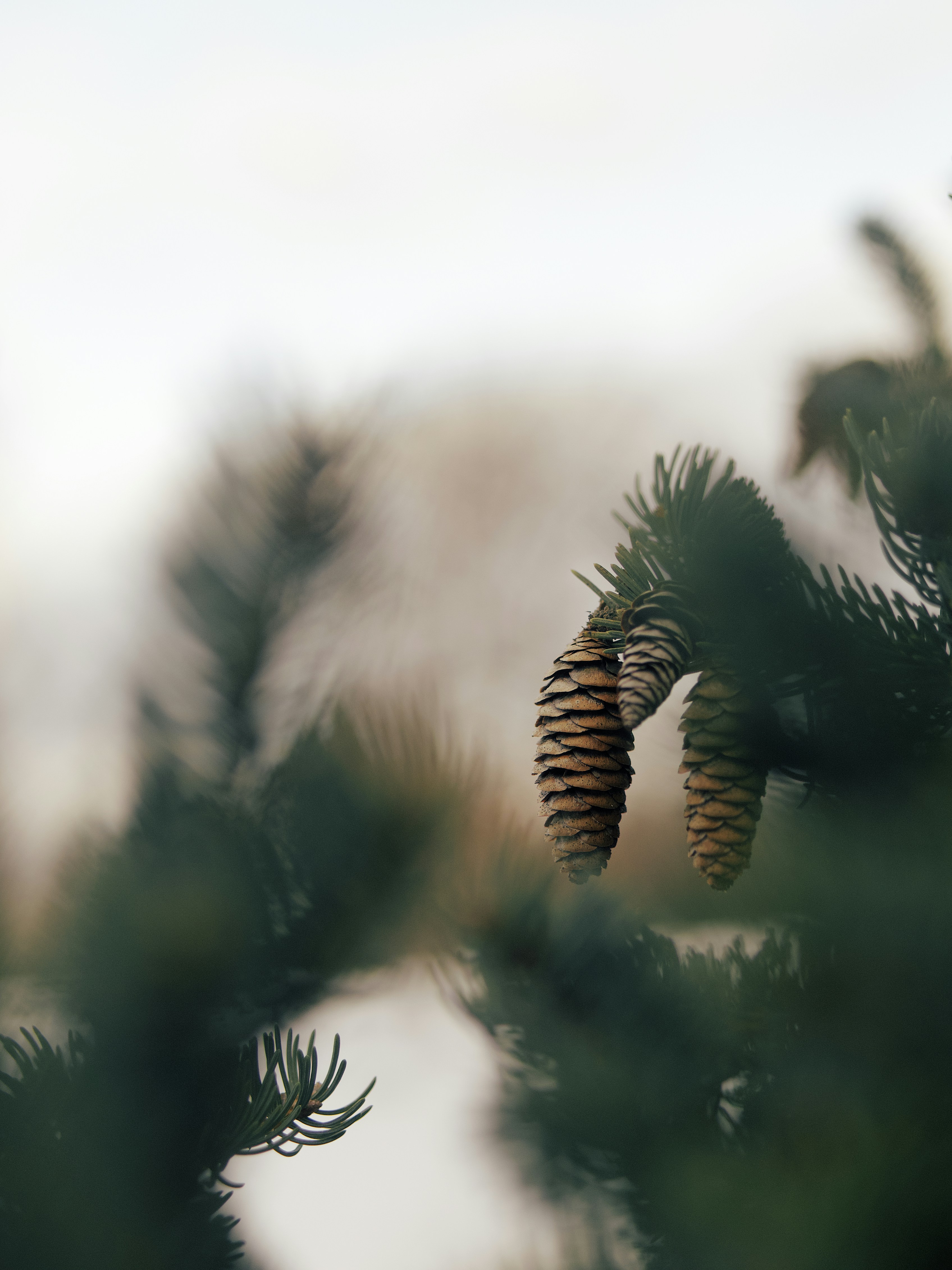 Photo by aaronburden