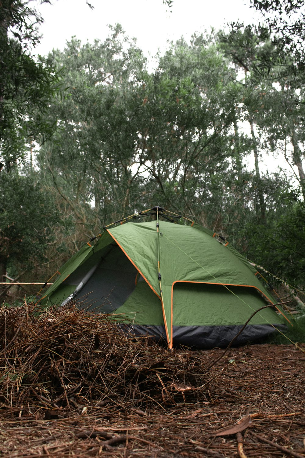 green and gray tent on brown grass field