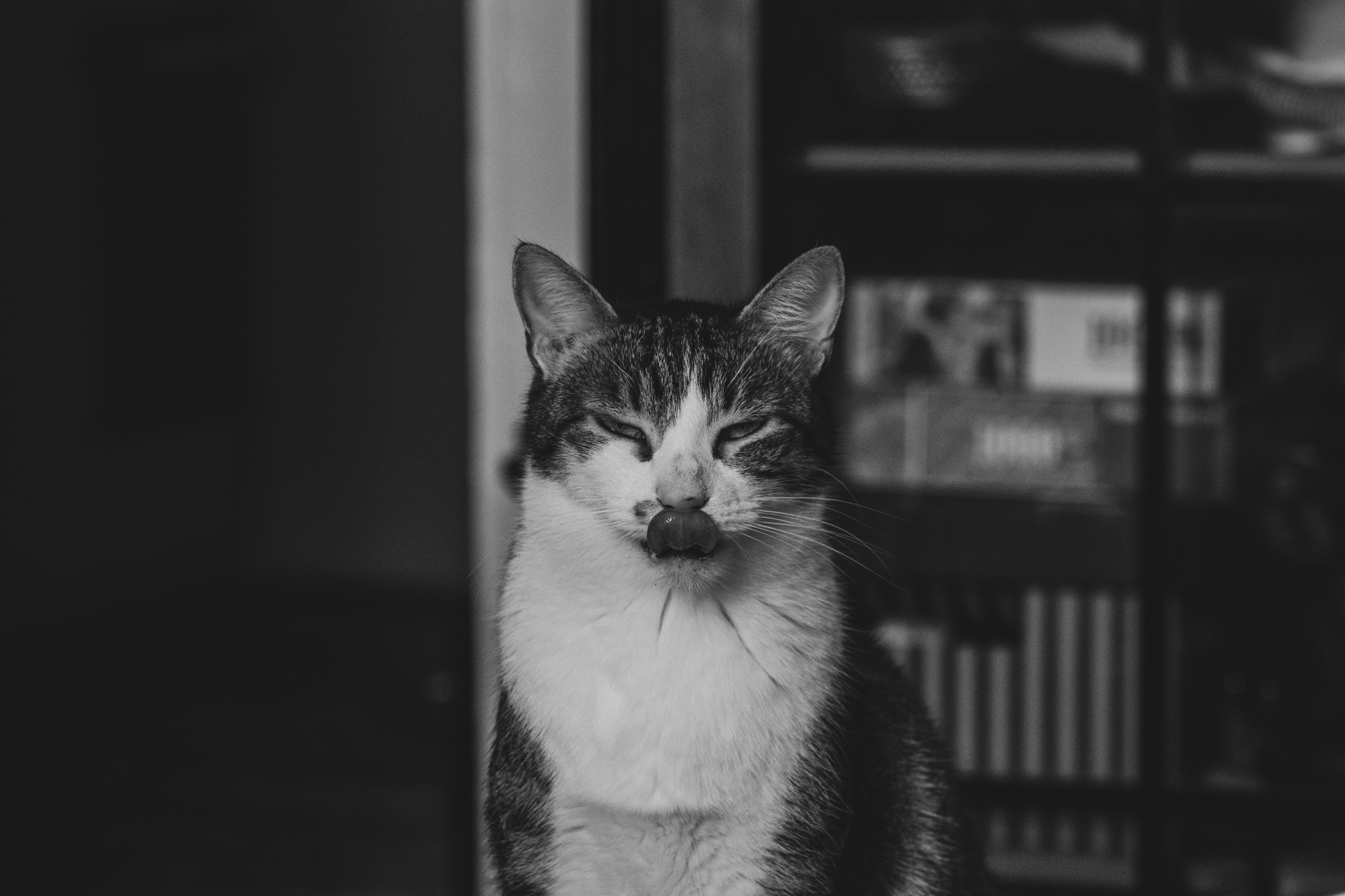 Photo by mmgphotograph