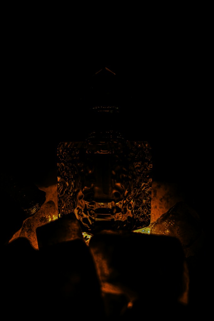 Noir Fig