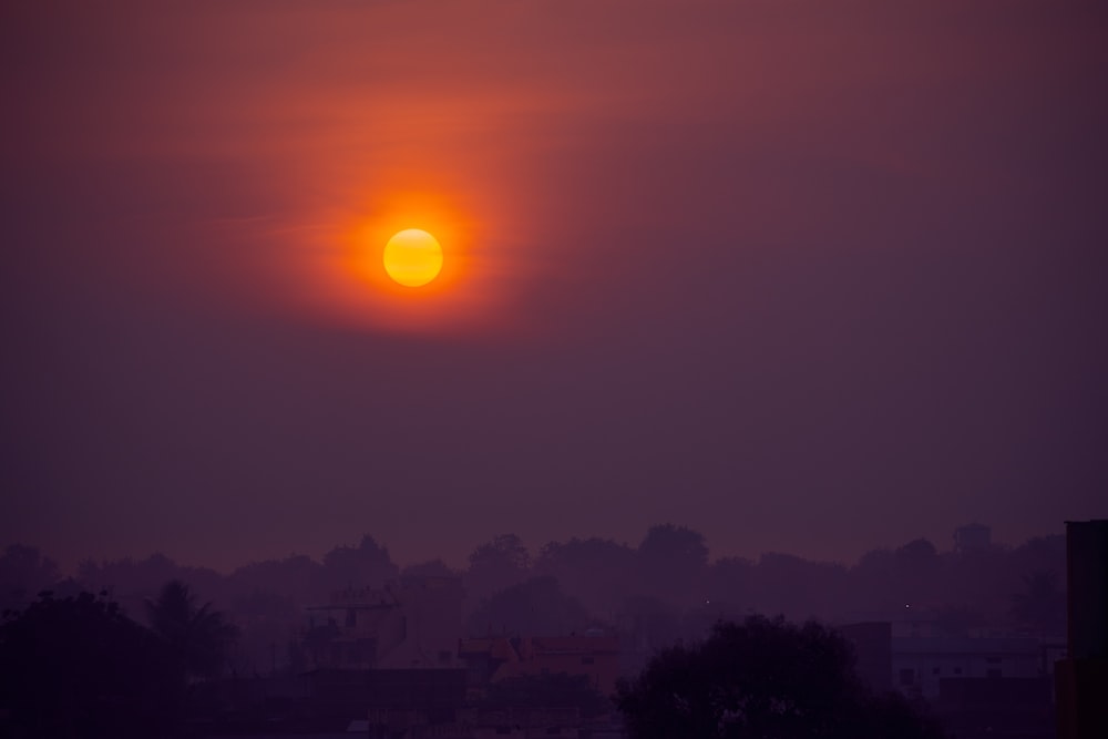 silhouette of trees during sunset