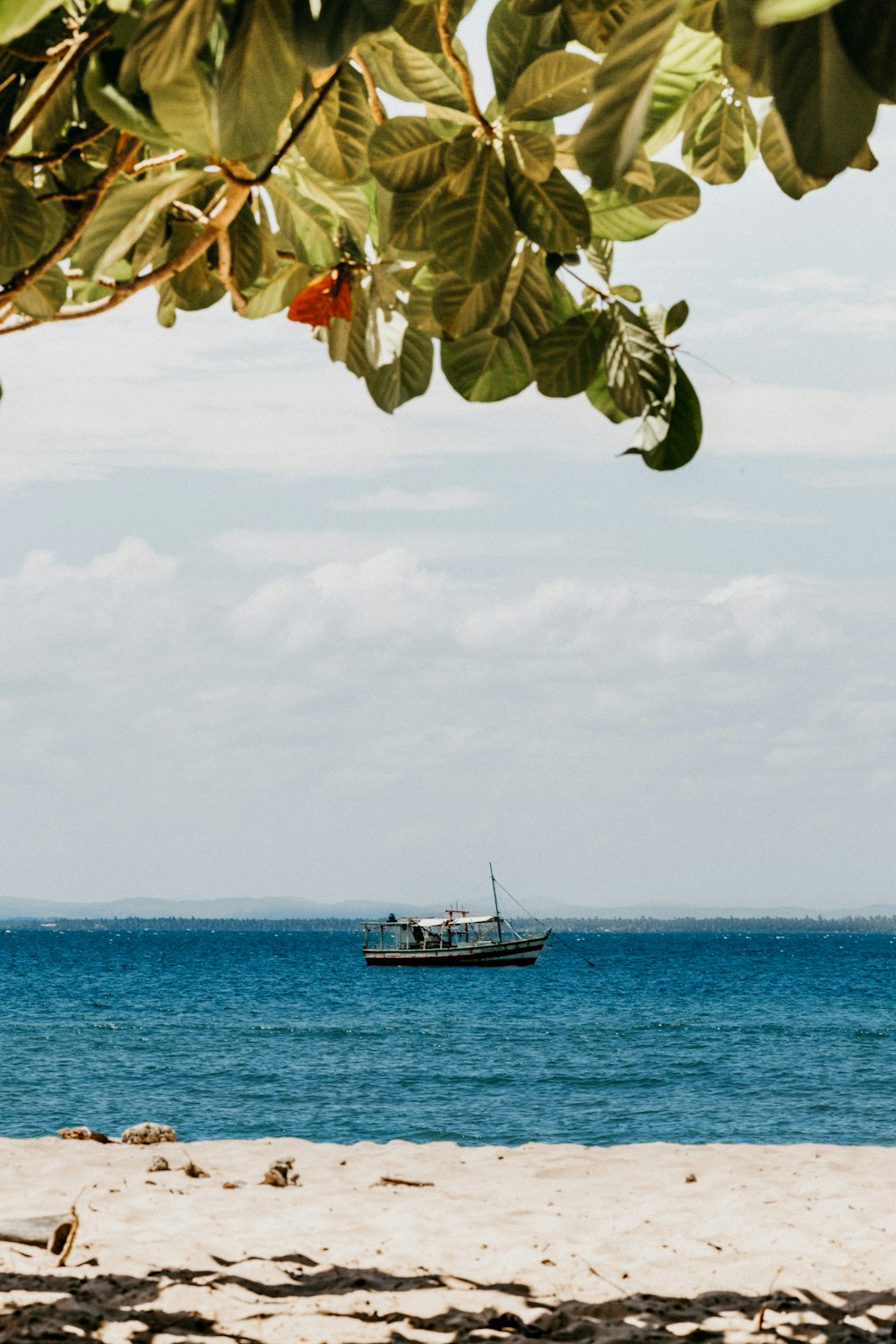 white and black boat on sea under blue sky during daytime