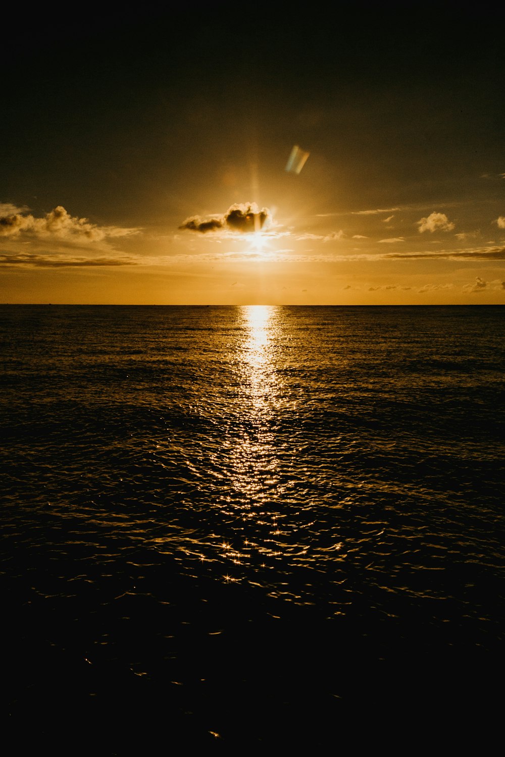 silhouette d’oiseaux volant au-dessus de la mer au coucher du soleil