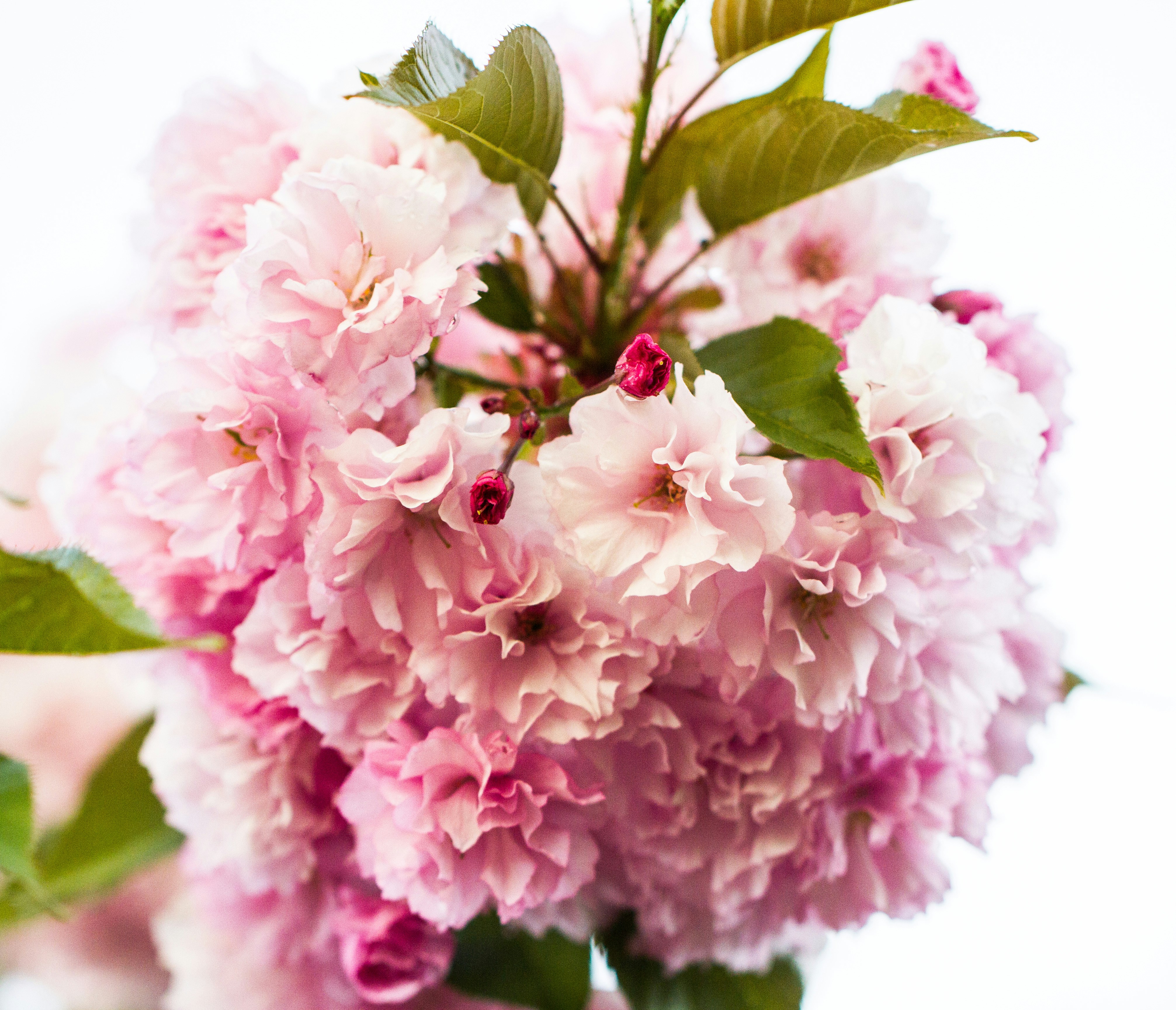 Photo by capturelight