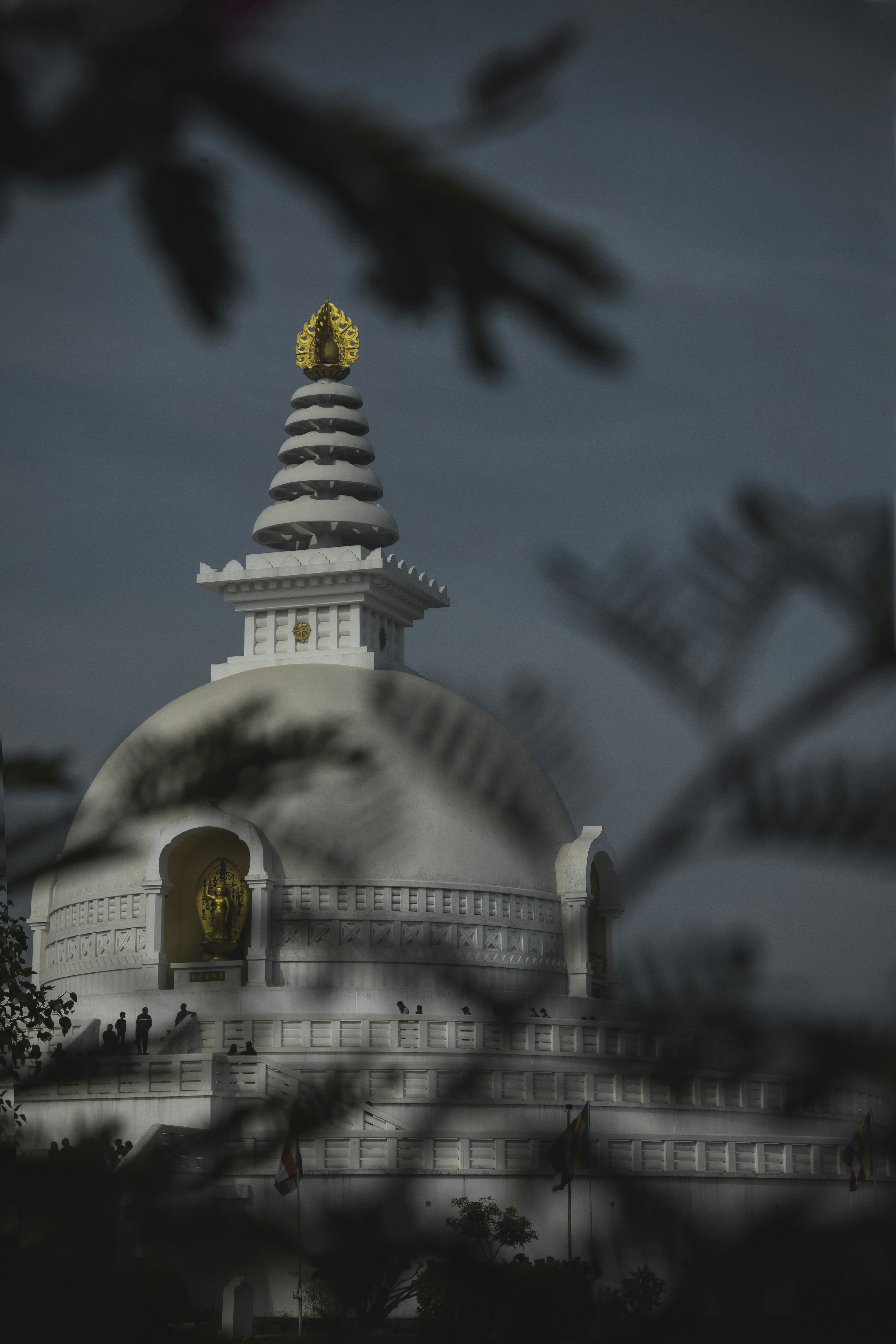 Photo by ashokjkshetri