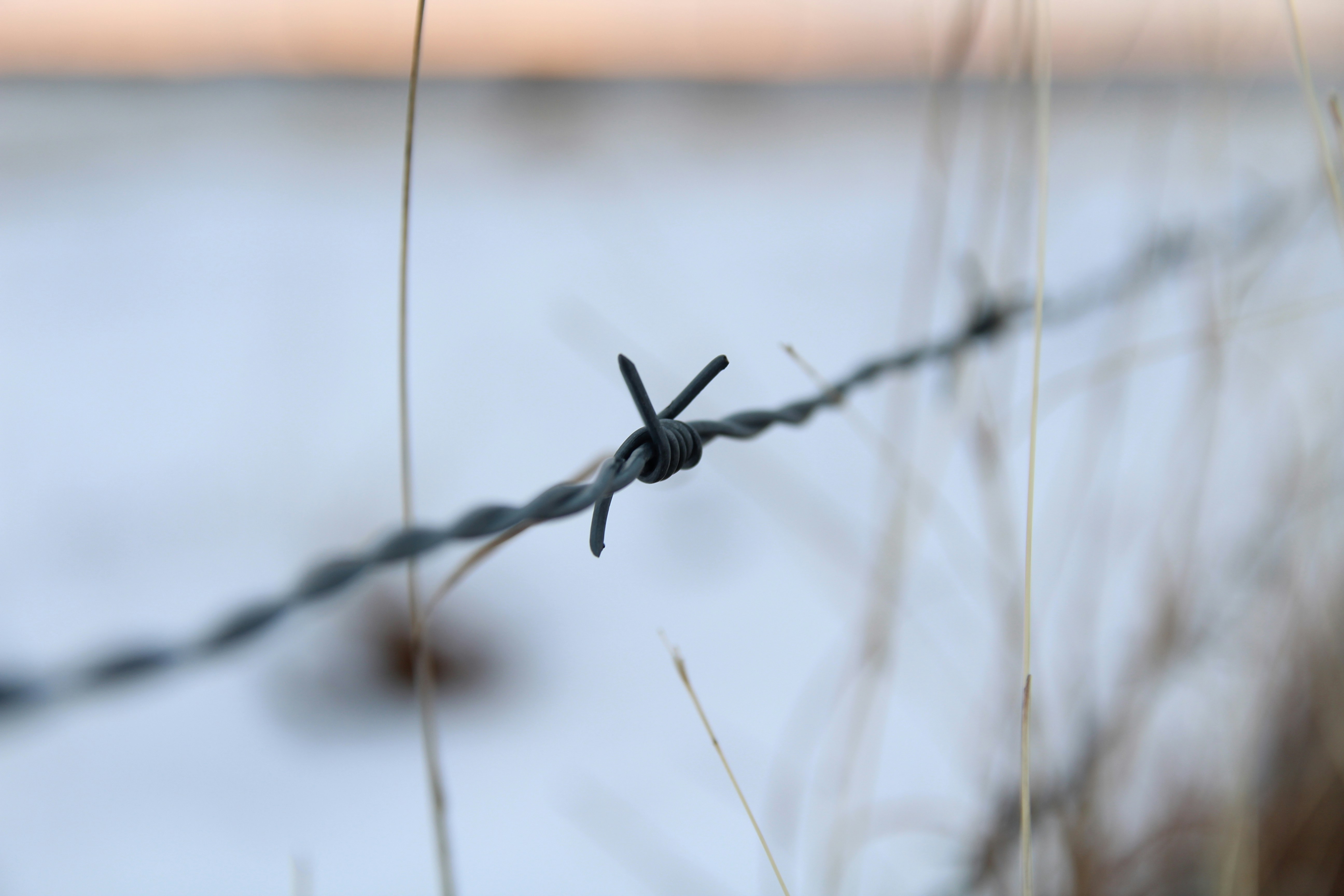 Photo by natilyn
