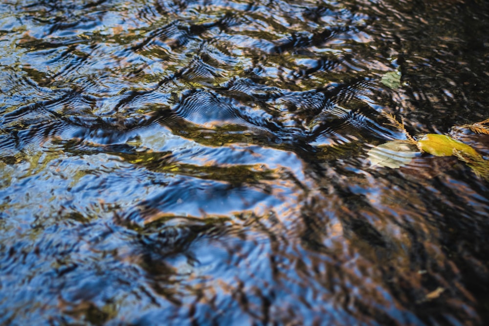 onda d'acqua nella fotografia ravvicinata