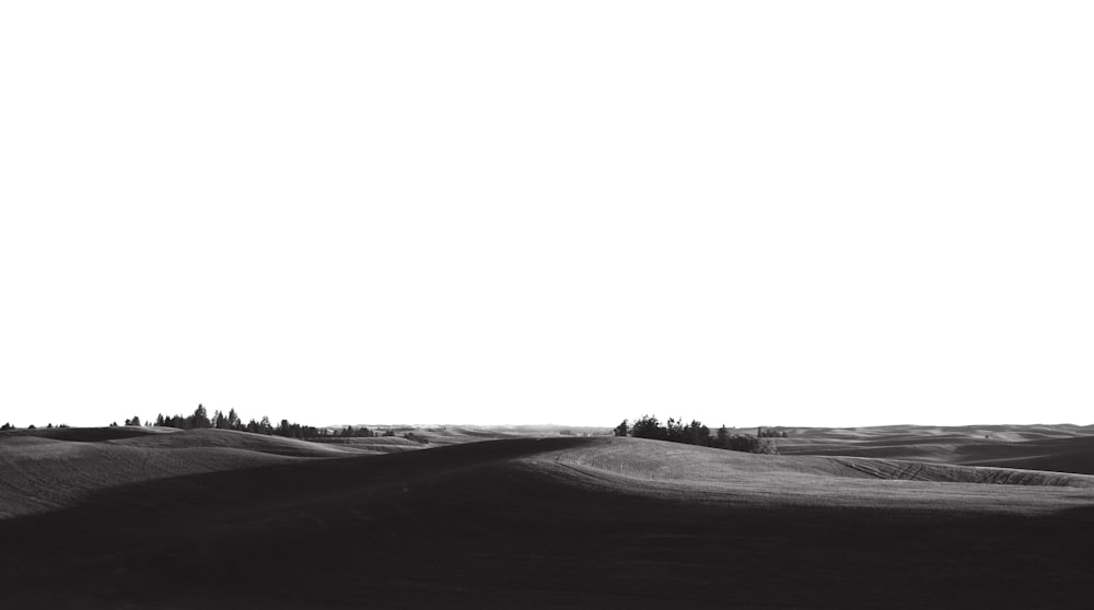 snow covered field during daytime