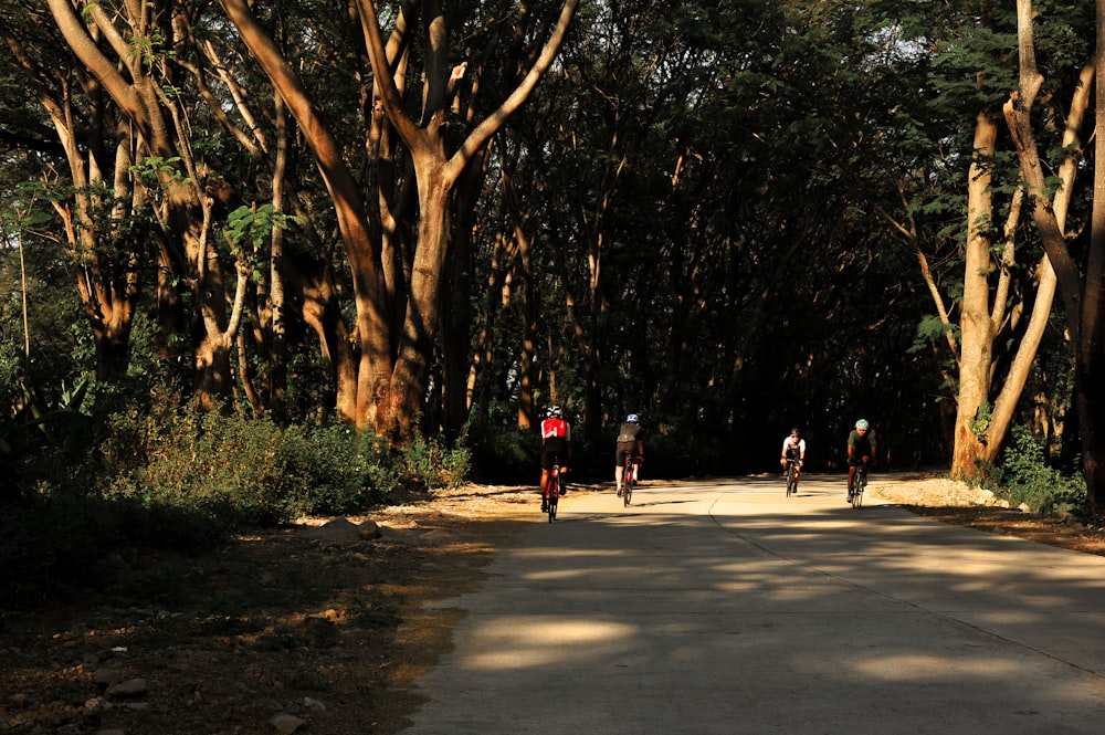 people walking on gray concrete road surrounded by trees during daytime