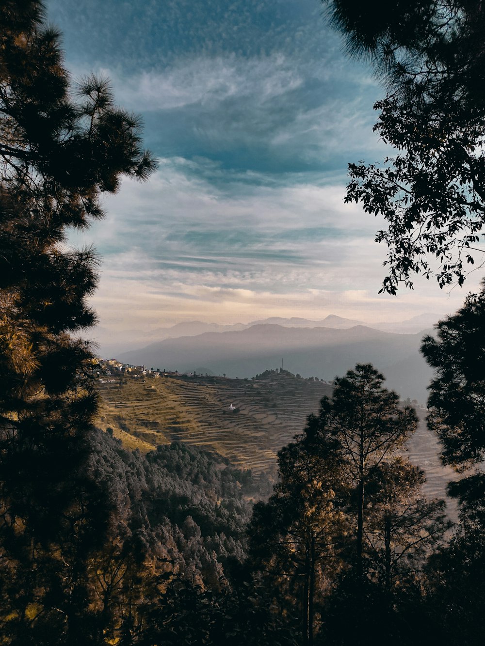 green trees on mountain under white clouds during daytime