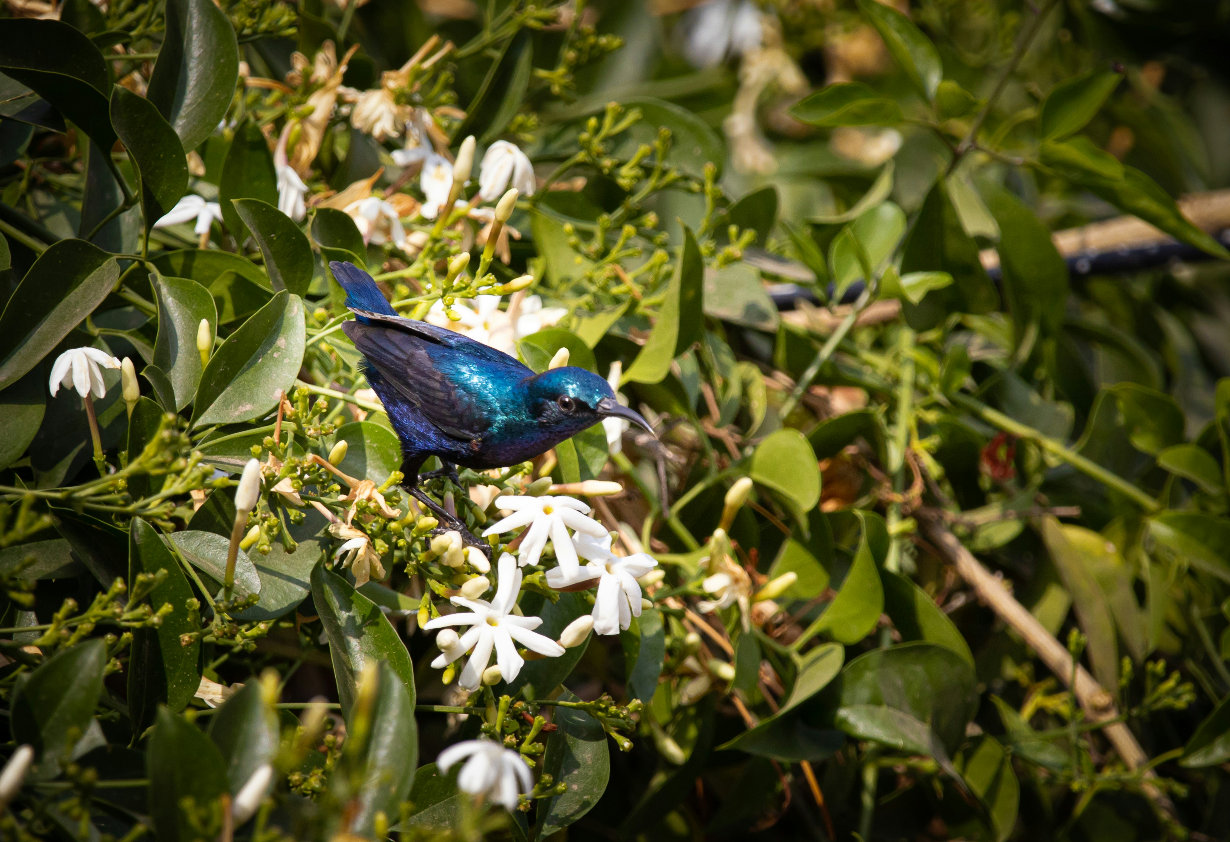 Photo by wildandbeyondbyvivek