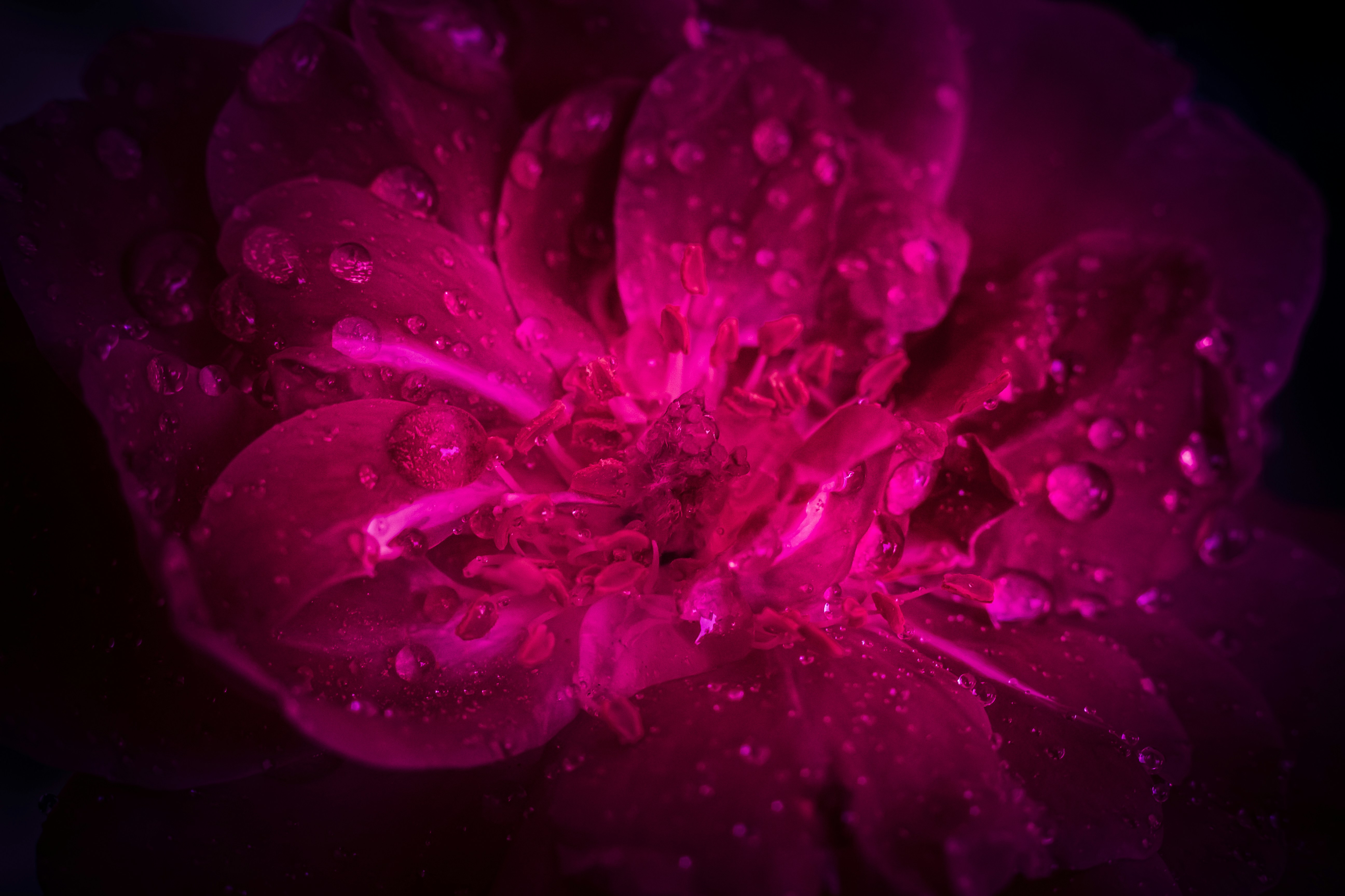 Photo by wildandbeyondbyvivek