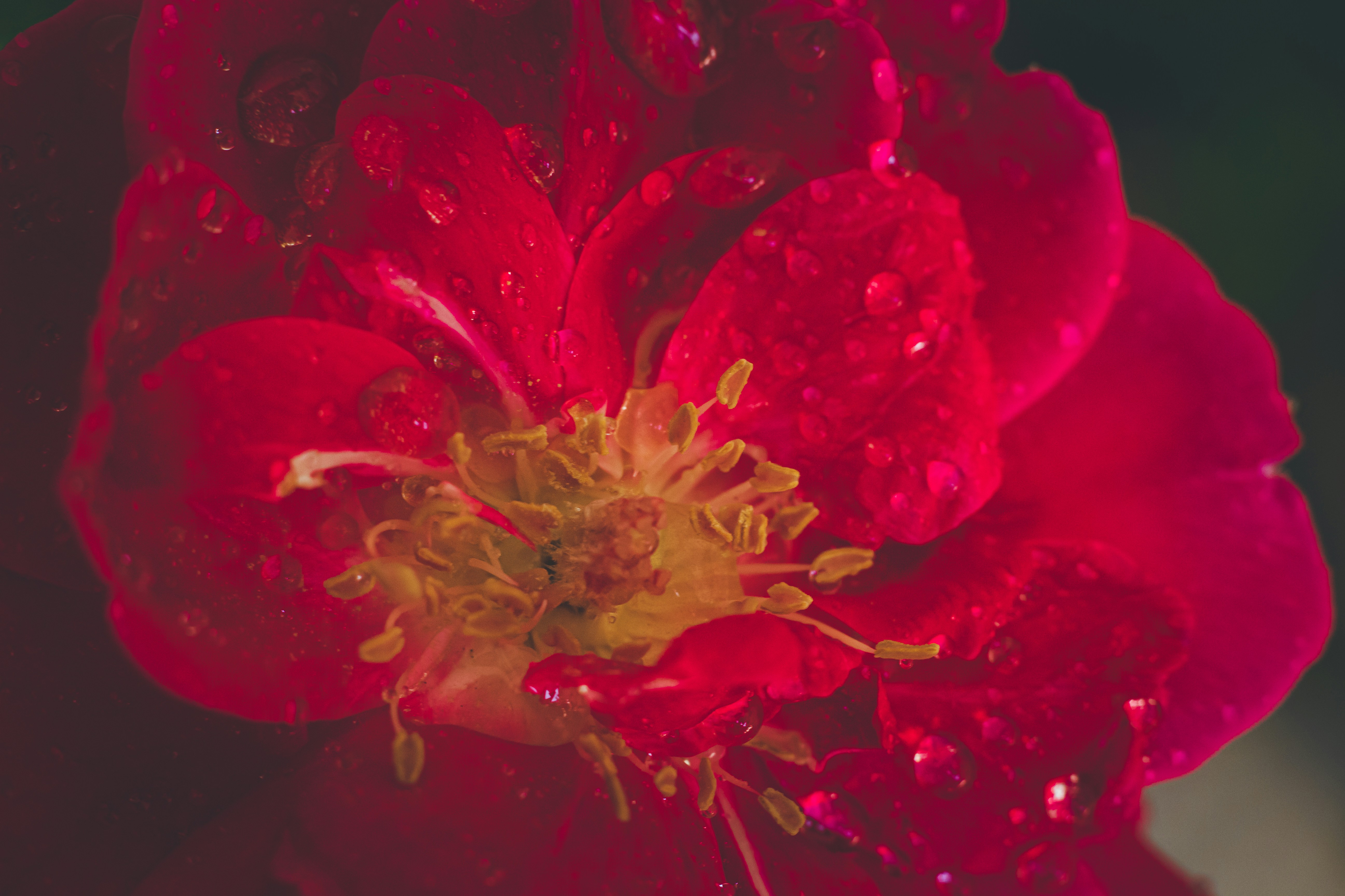 Photo by wildandbeyondbyvivek