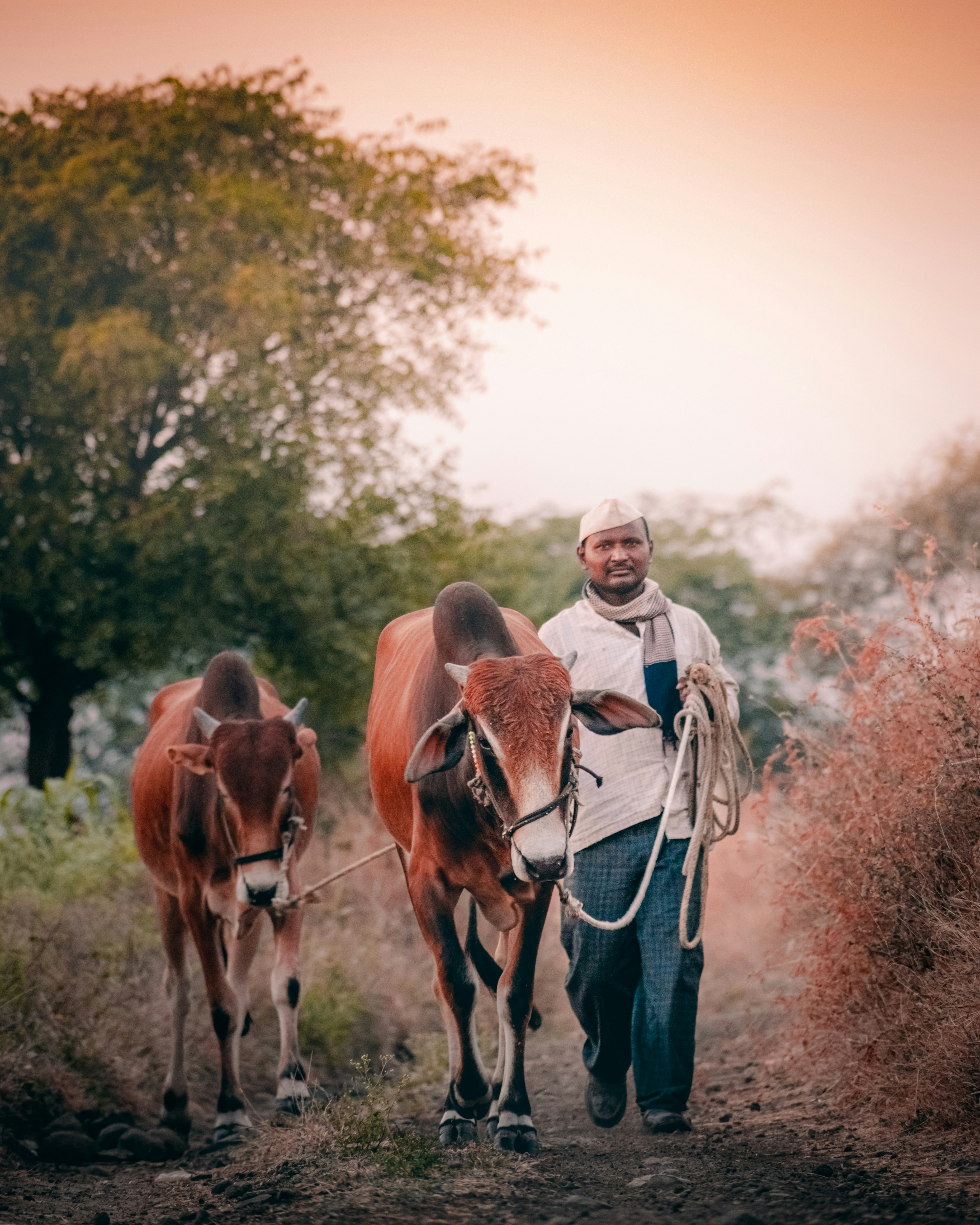 Photo by sagarkulkarni