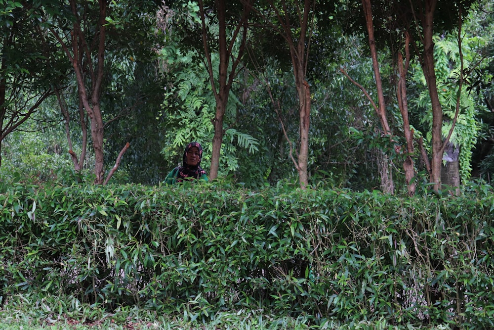 a woman walking through a lush green forest