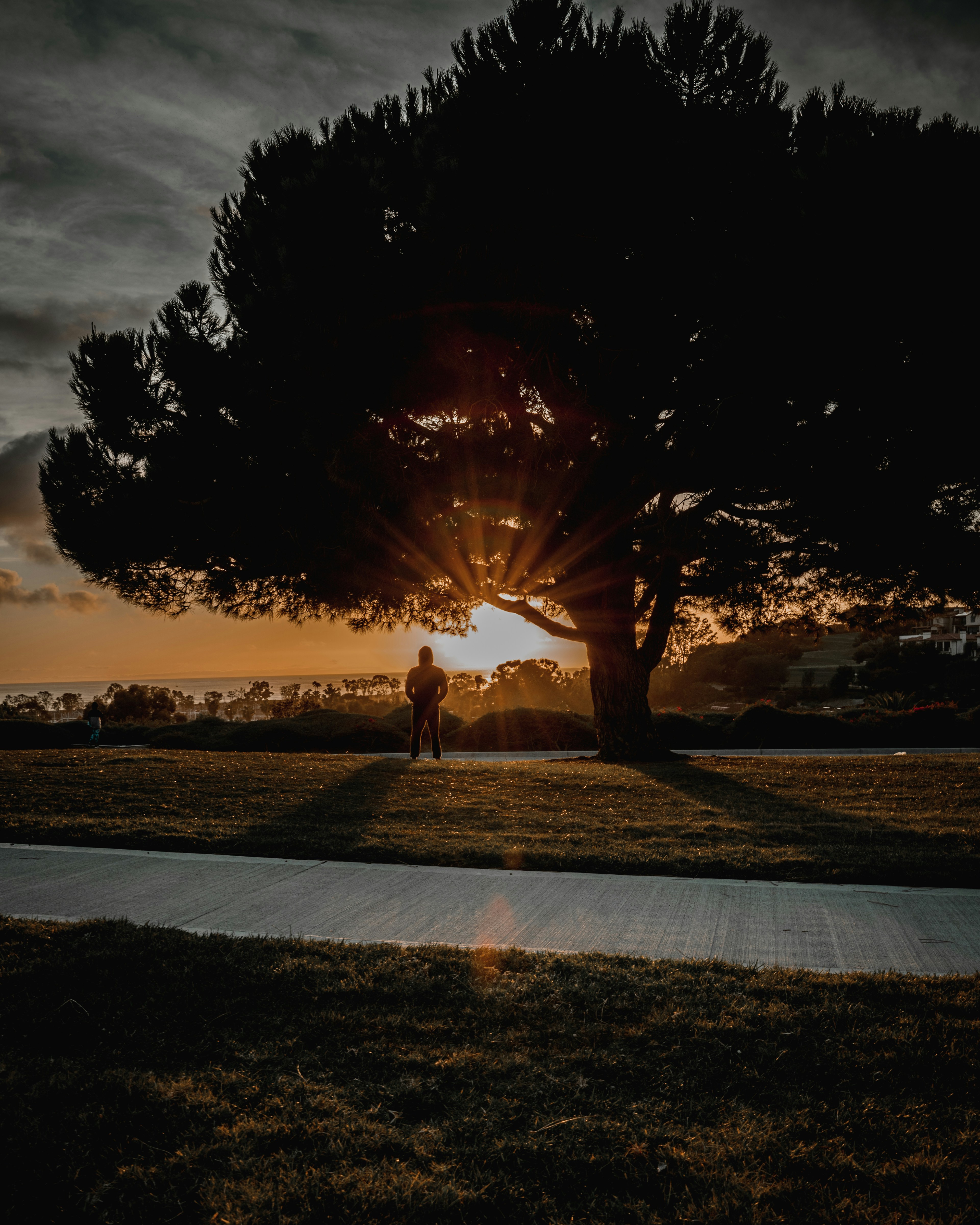silhouette of 2 people walking on beach during sunset
