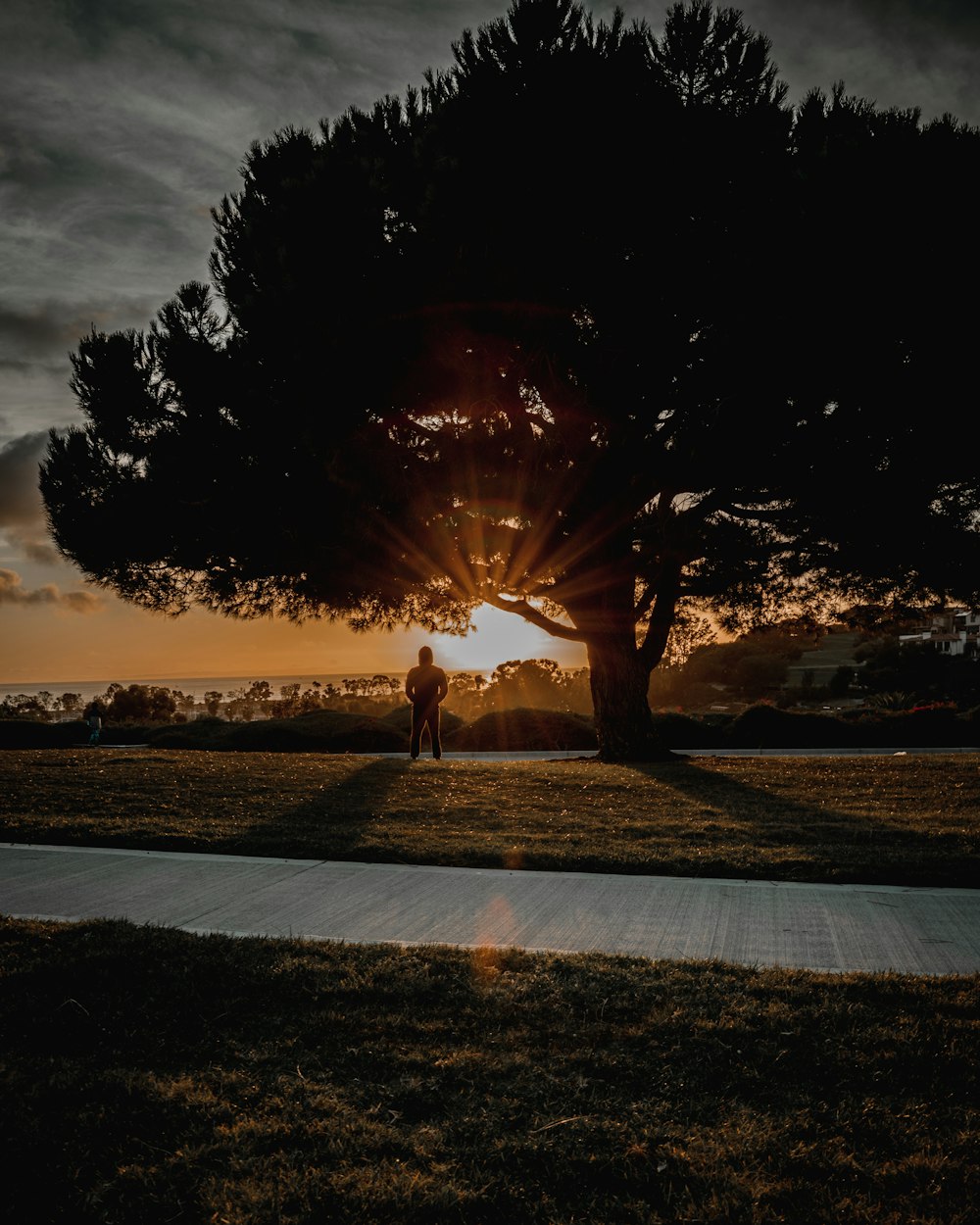 silhouette of 2 people walking on beach during sunset