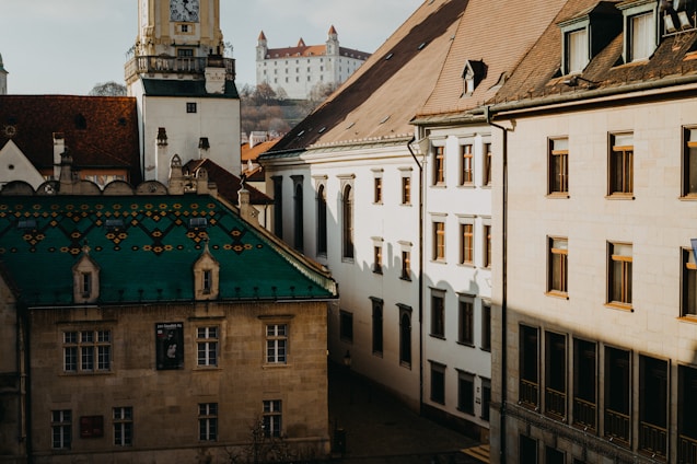 A professional consultant reviewing documents with a cityscape of European government buildings in the background.