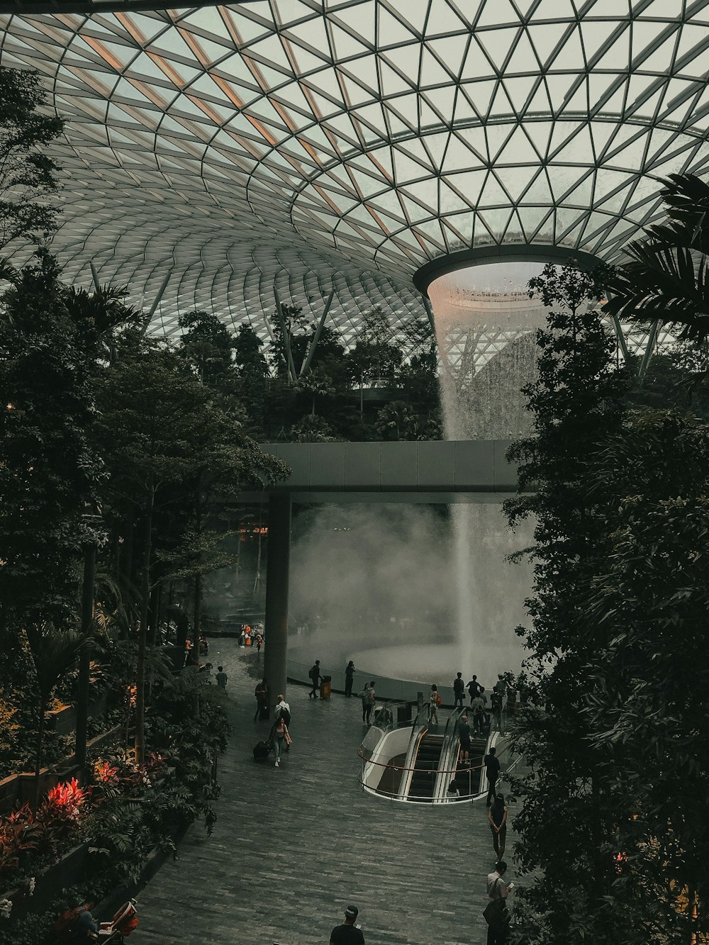 people in a building with green trees