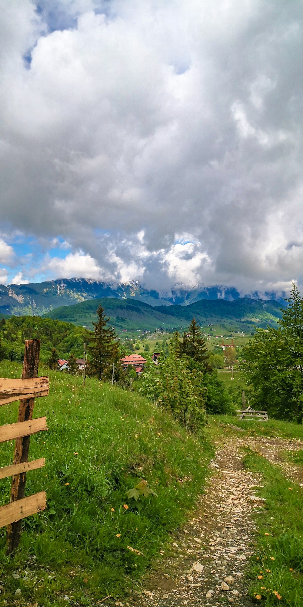 panchina di legno marrone sul campo di erba verde vicino agli alberi verdi sotto le nuvole bianche ed il cielo blu