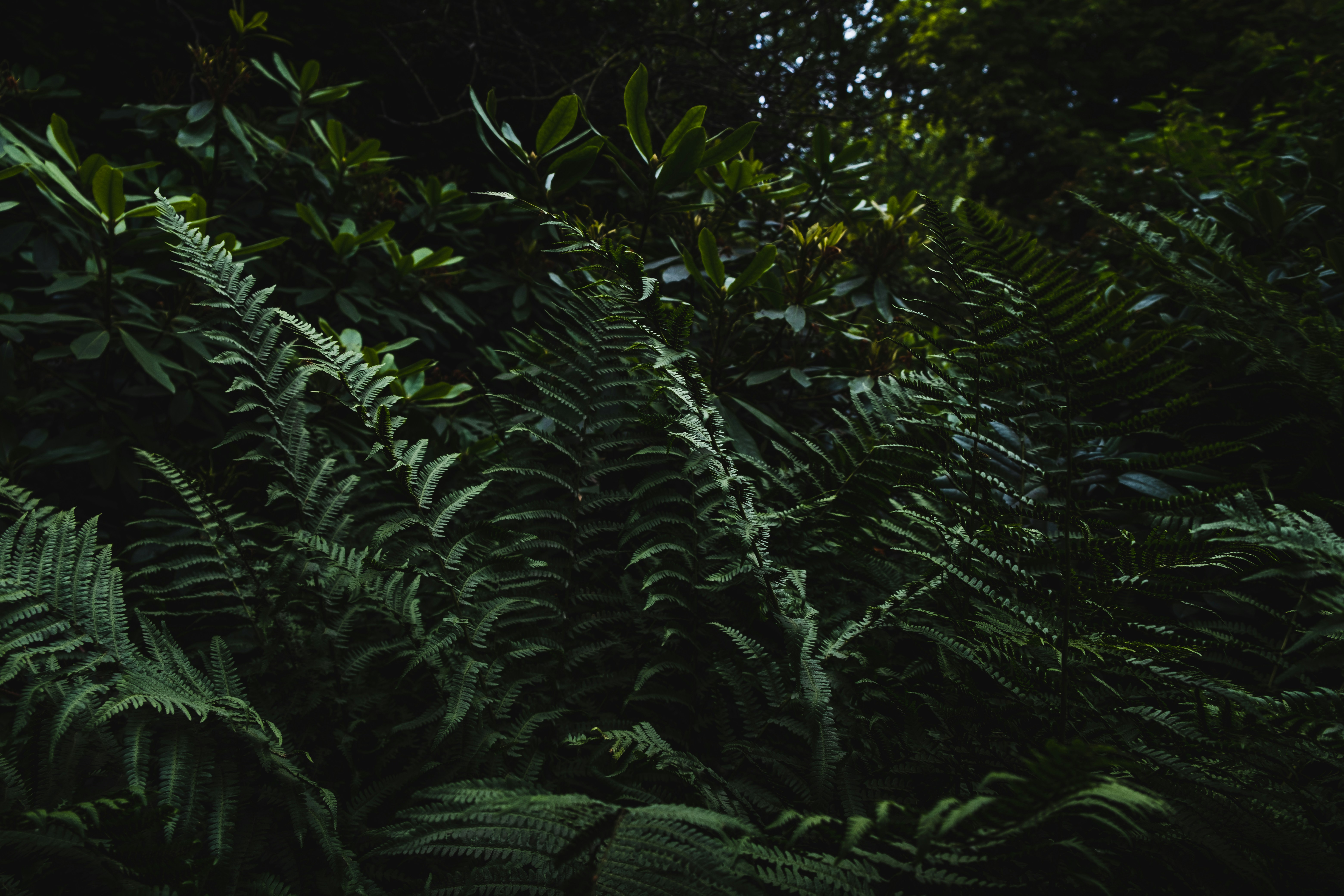 Photo by maybejensen