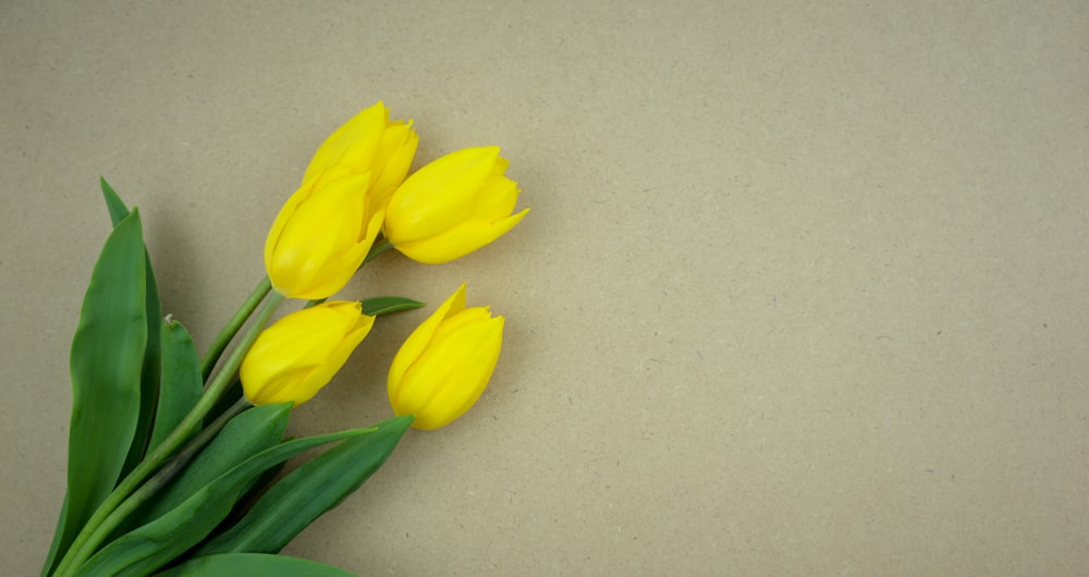 Gelbe Tulpen auf weißem Tisch