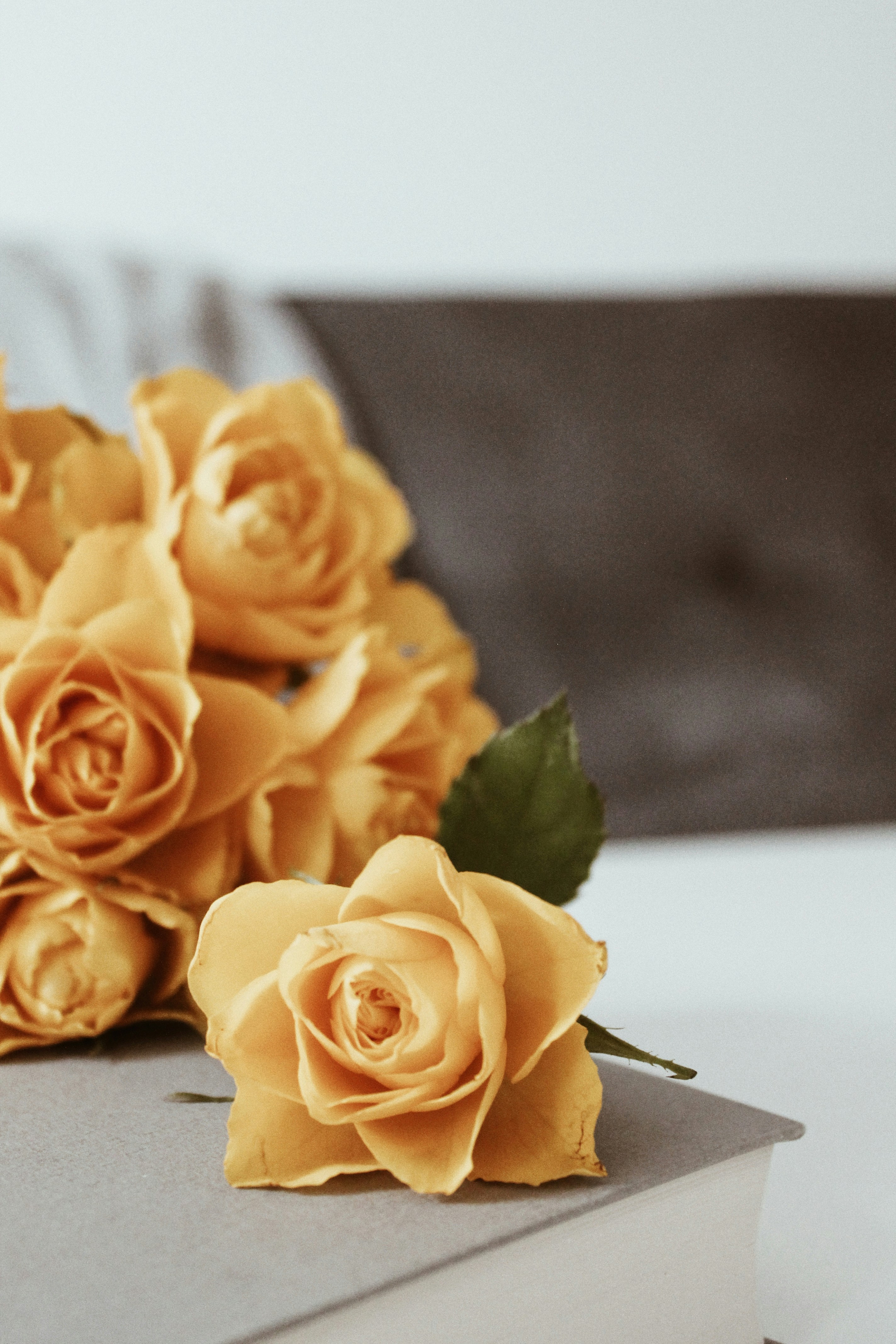 Photo by anna_meshkov