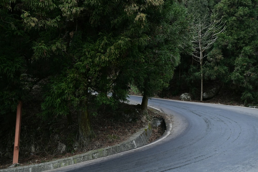 gray concrete road between green trees during daytime