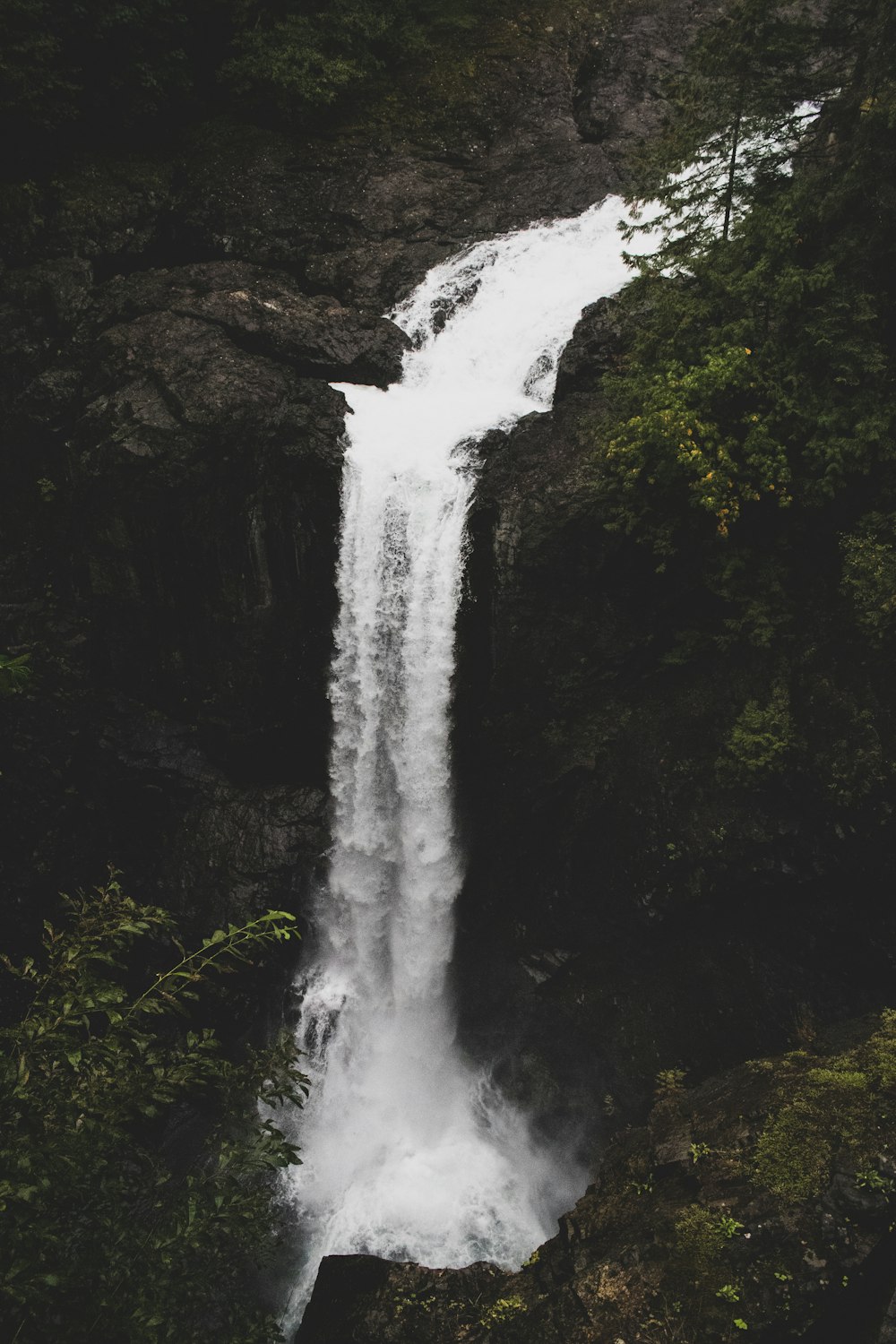 waterfalls in the middle of the forest