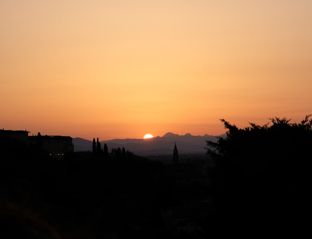 silhouette of trees during sunset