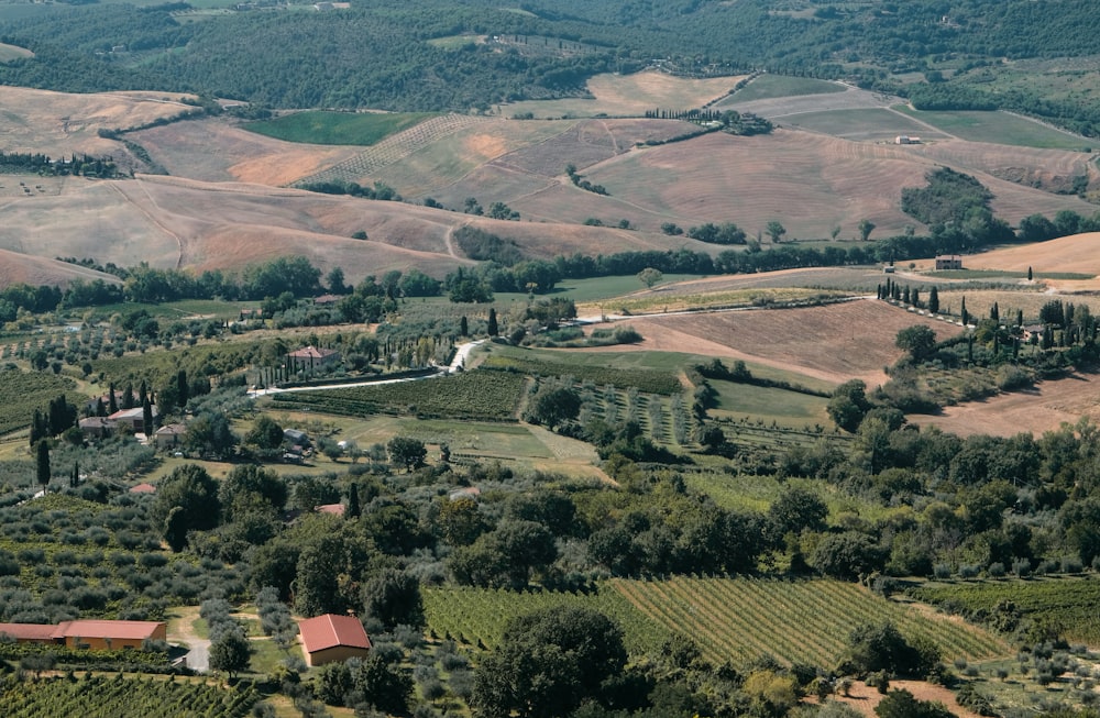 aerial view of green trees and mountains during daytime