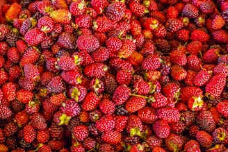 Bright berries freshly picked from the farm, ready for fruit wine.