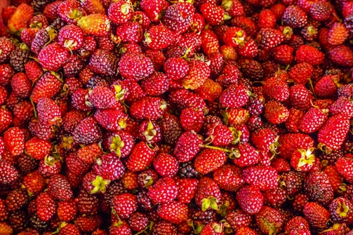 A large pile of ripe red and some dark purple berries, each fruit with green stems. The berries are closely packed together, varying slightly in size and color ranging from bright red to deep purple.