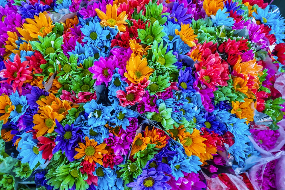 purple yellow and pink flowers