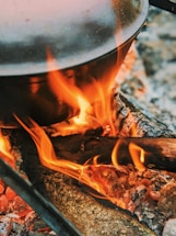 burning wood on fire pit