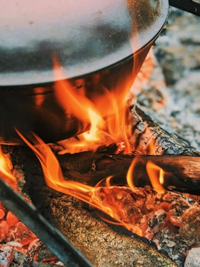burning wood on fire pit