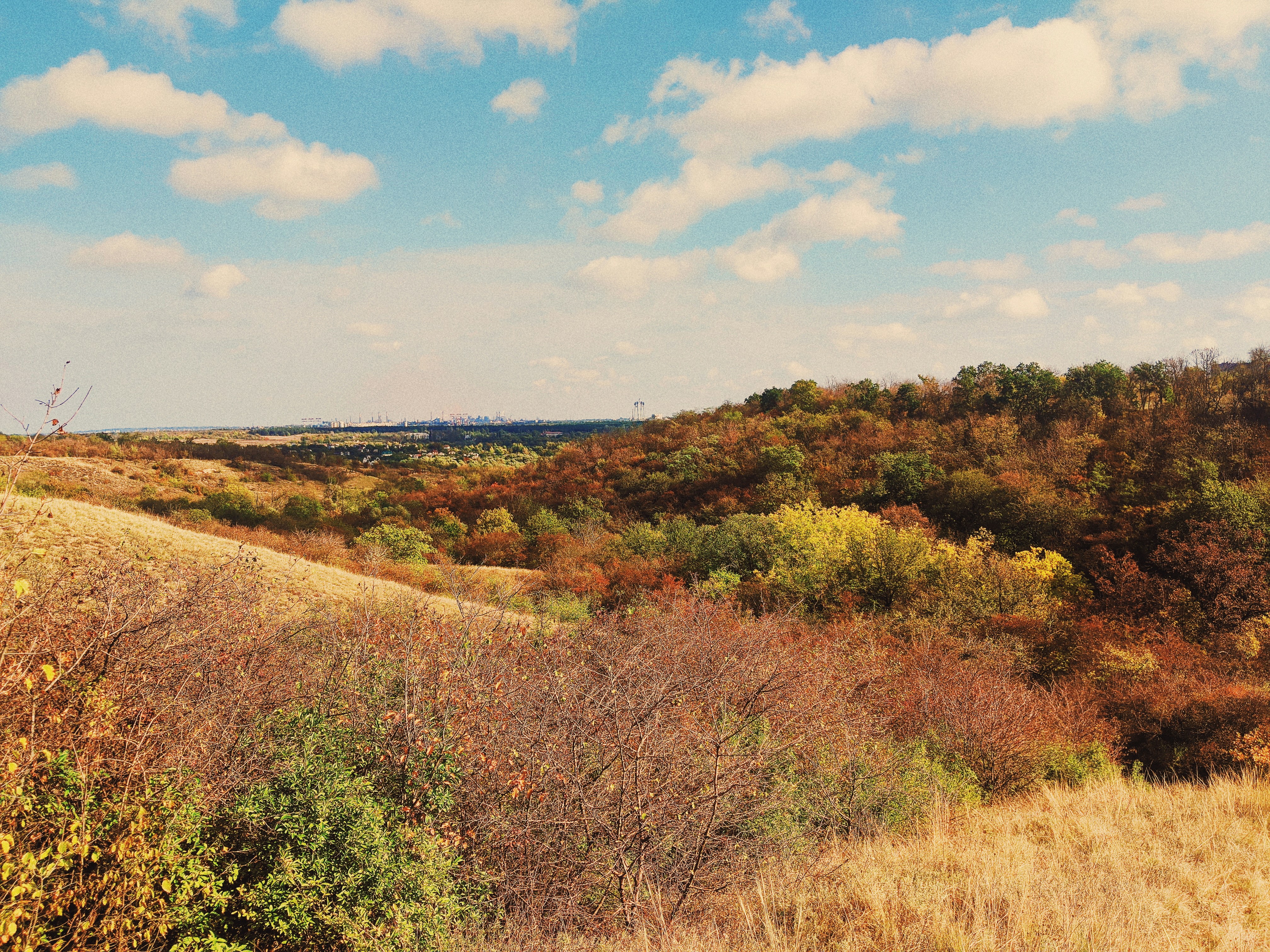 Photo by animgraphlab