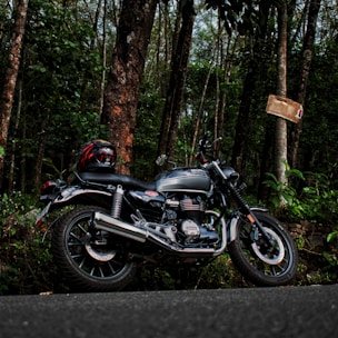 black and silver motorcycle in forest