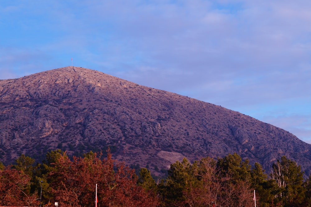 green and brown mountain under blue sky during daytime