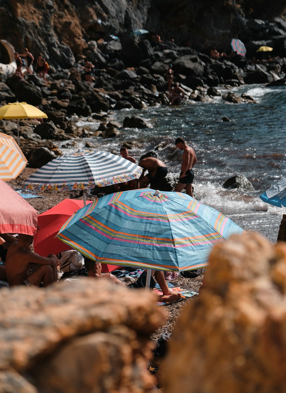 people on beach during daytime