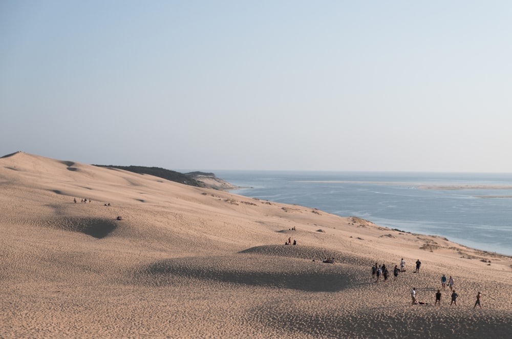 people on beach during daytime