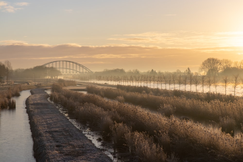 gray concrete bridge over river during sunset