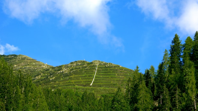 A lush green mountain landscape with terraced hills and dense coniferous forests under a clear blue sky. The terracing pattern is prominently visible, giving the mountain a unique texture.